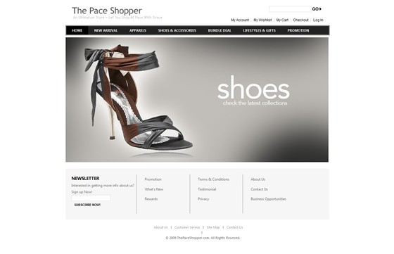 http://www.thepaceshopper.com/: Web Site Design and Development